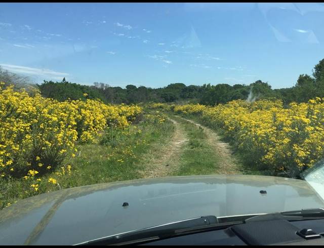LAND FOR SALE IN ASTON BAY